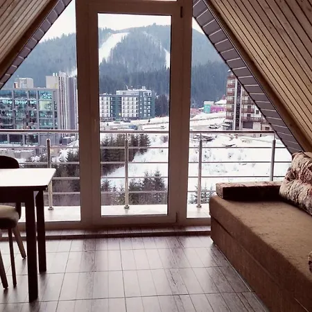 ніка 3* 부코벨